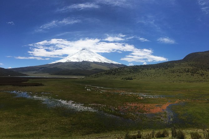 Cotopaxi Volcano (Private Day Trip From Quito) - Limpiopungo Lake