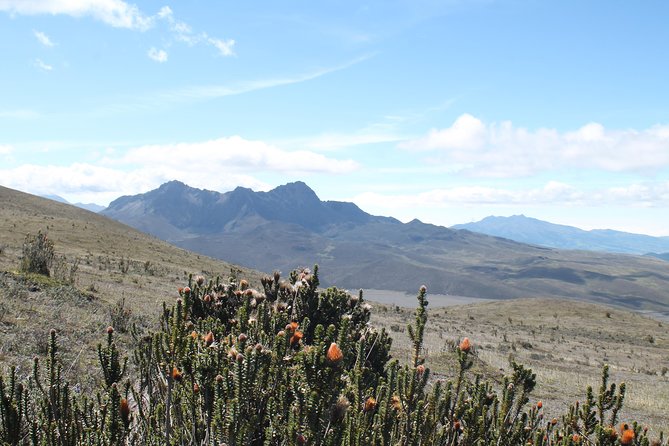 Cotopaxi Volcano (Private Day Trip From Quito) - José Ribas Refuge