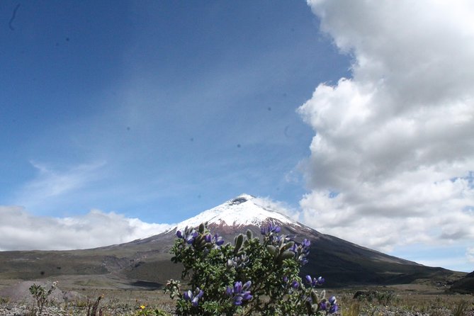 Cotopaxi Volcano (Private Day Trip From Quito) - Scenic Drive