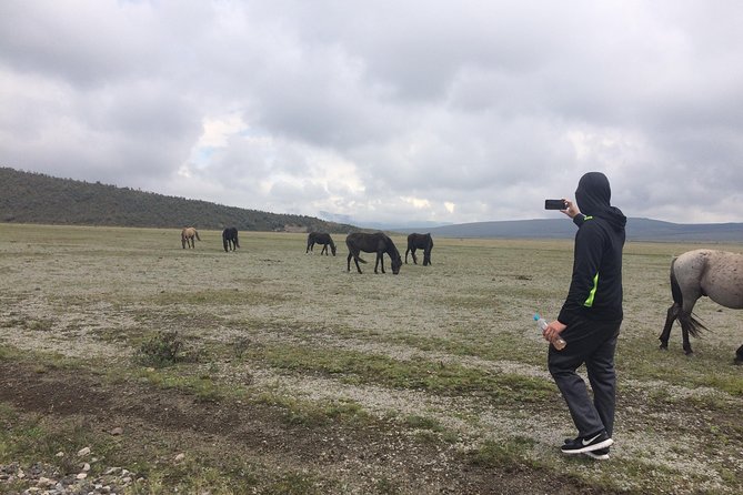 Cotopaxi Volcano (Private Day Trip From Quito) - Inclusions and Logistics