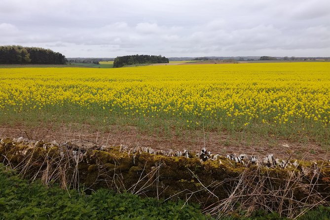 Cotswold and Oxford Private Group Day Tour From Watford - Accessibility and Amenities