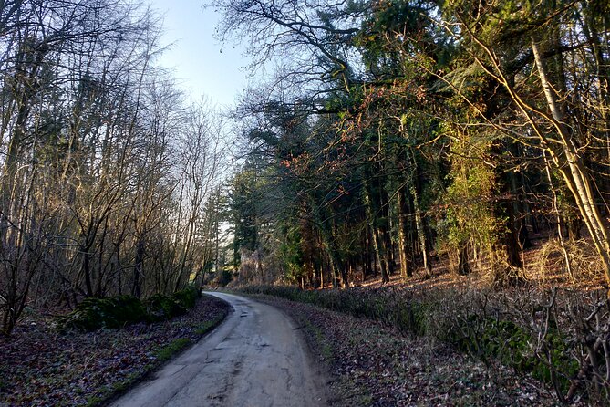 Cotswolds Electric Bike One Day Private Tour Starts Near Oxford - Customer Review Highlights