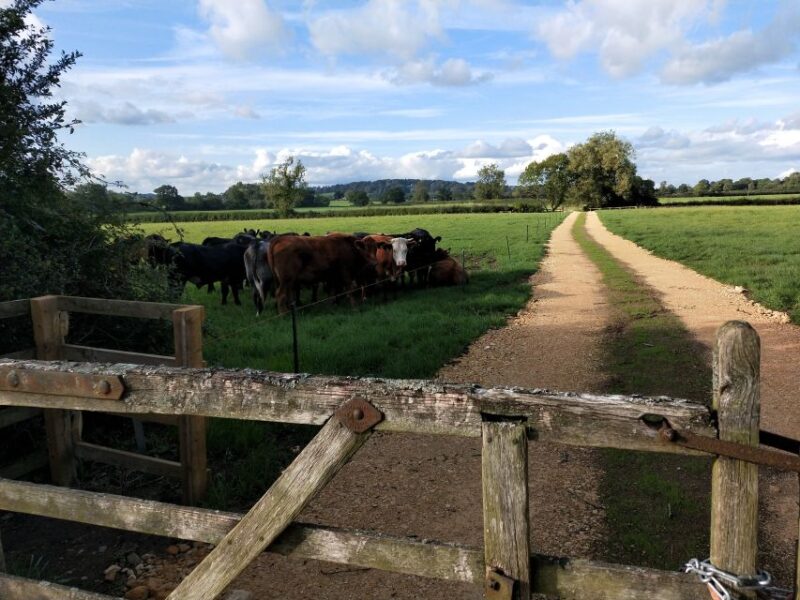 Cotswolds: Full-Day Private Walking Tour With Local Guide - Key Points