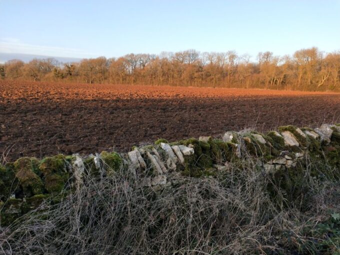 Cotswolds: Private Guided Tour Day Trip by Car - Scenic Stops for Refreshments