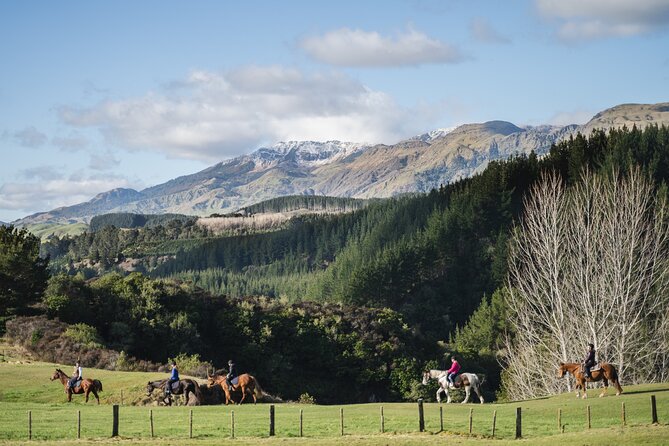 Country Experience at Mohaka River Farm - Riverside Nature Walk