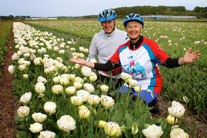 Country of Tulips Tour - Experience Ratings