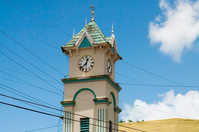 Country Side and Sight Seeing With Dunns River Falls - Tour Details