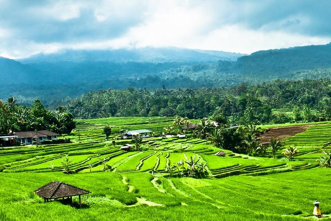 Country Side Of Bedugul And Tanah Lot Temple Tour - Destination Highlights