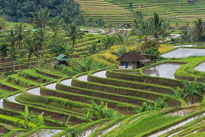 Country Side Of Bedugul And Tanah Lot Temple Tour - Inclusions