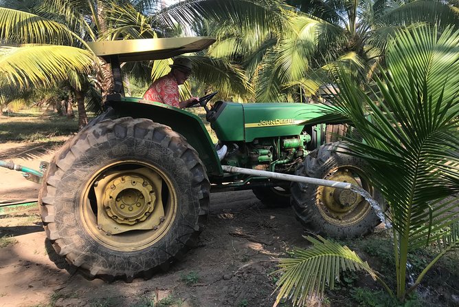 Country Side Tour - Experience Highlights