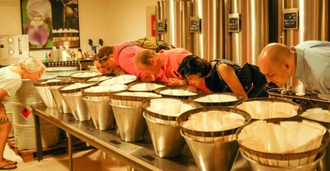 Countryside and Wine Tasting Day Tour - Winery Visit and Wine Tasting