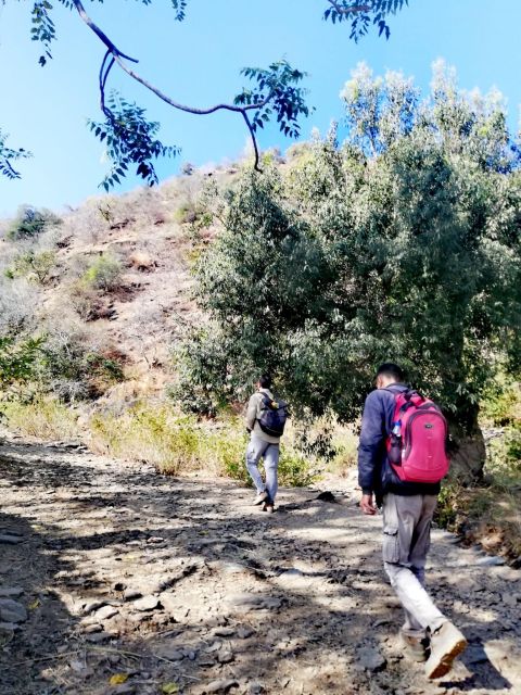 Countryside Arawali Hills Hiking Tour - Key Points