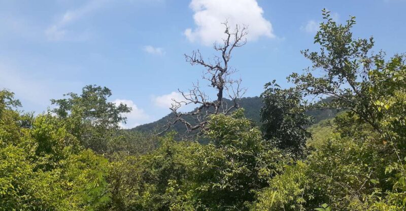 Countryside Arawali Hills Hiking Tour - Experience Highlights
