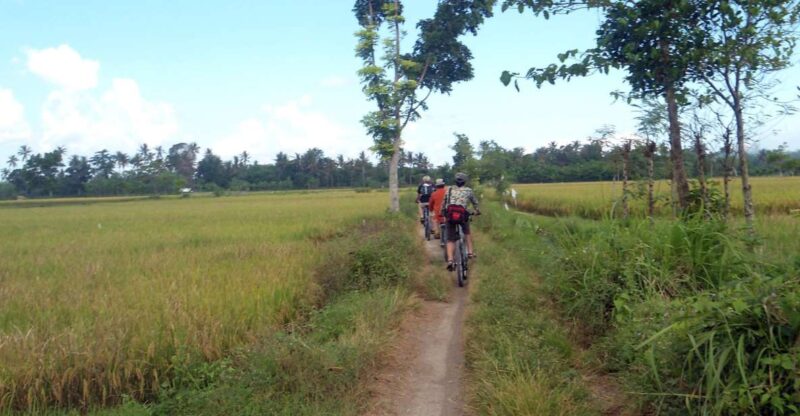 Countryside Bike Ride to Golong Village and Lingsar Temple - Itinerary and Experience