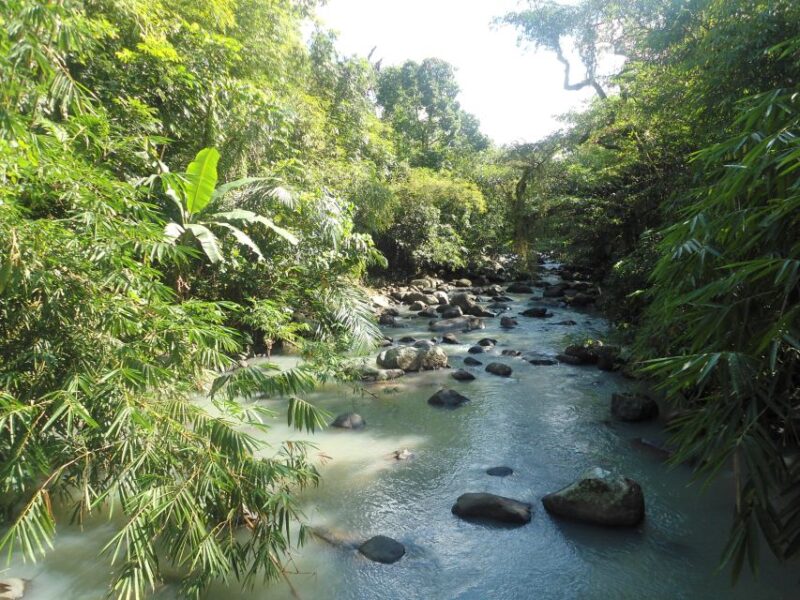 Countryside Bike Ride to Golong Village and Lingsar Temple - Inclusions and Requirements