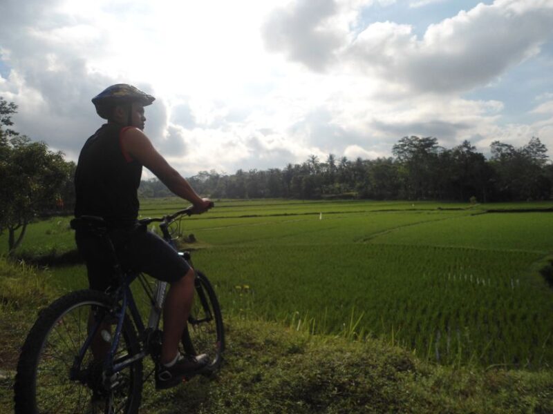 Countryside Bike Ride to Golong Village and Lingsar Temple - Customer Feedback