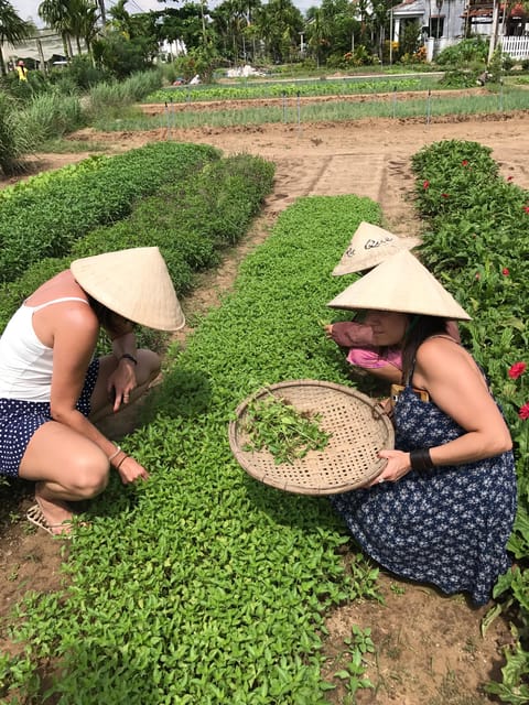 Countryside Bike Tour, Basket Boat and Cooking Class - Inclusions