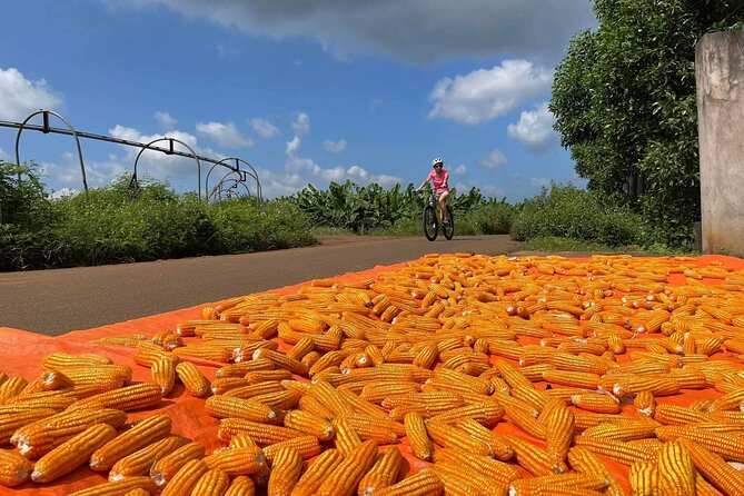 Countryside Biking Experience: Phu My Port - Vietnam - Itinerary and Route
