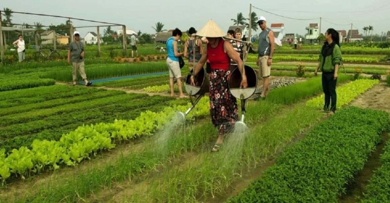 Countryside Biking -Farming -Market -Cooking Class In Hoi An - Highlights of the Experience