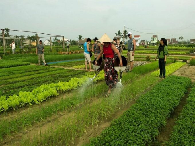Countryside Biking -Farming -Market -Cooking Class In Hoi An - Frequently Asked Questions