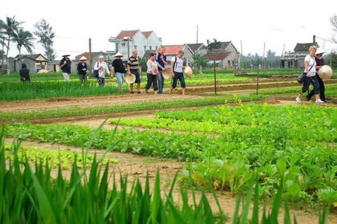 Countryside Biking -Farming -Market -Cooking Class In Hoi An - Additional Information