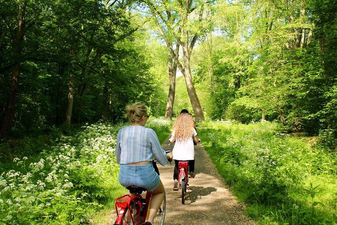 Countryside Cheese & Clogs E-Bike Tour - Accessibility and Requirements