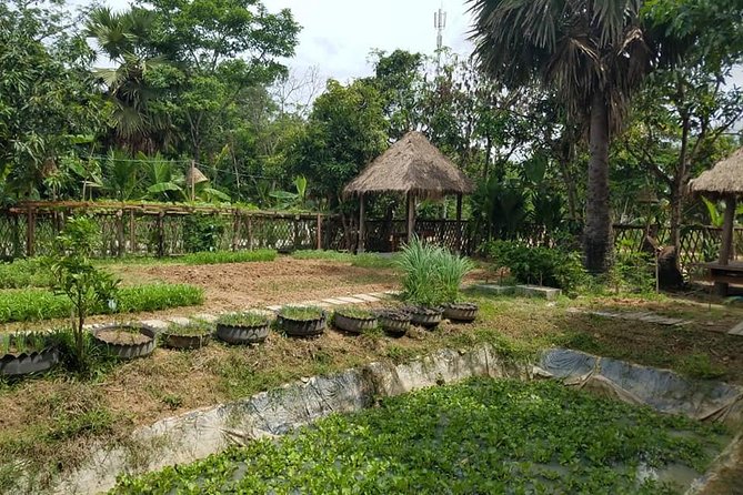 Countryside Cooking Class - Highlight Dishes on the Menu