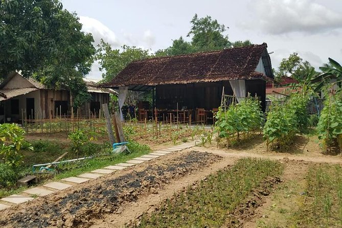 Countryside Cooking Class - What to Expect From the Class