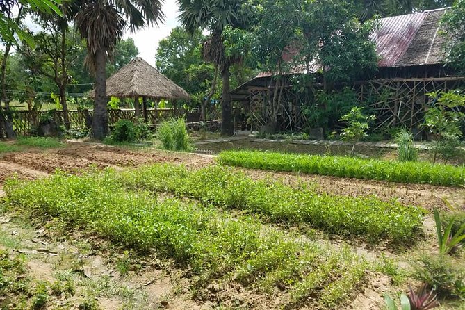 Countryside Cooking Class - Feedback From Previous Participants