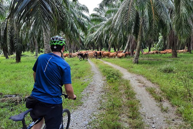 Countryside Cycling Tour by Matahari - Additional Information