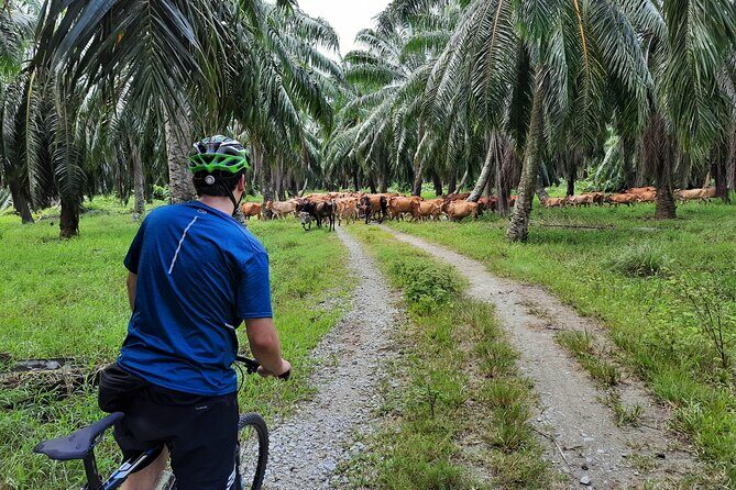 Countryside Cycling Tour. T1.0 by Matahari - Frequently Asked Questions