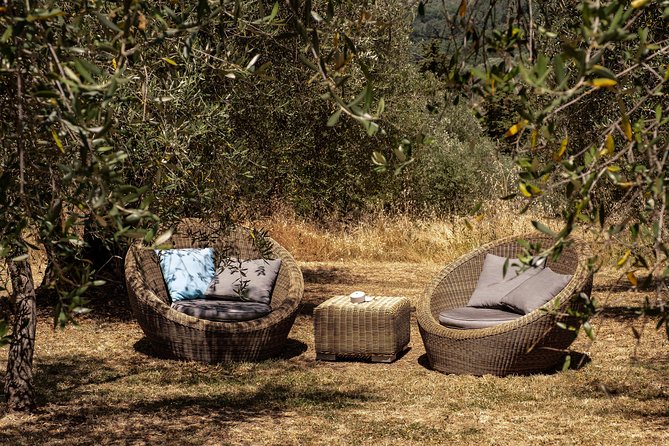 Countryside Escape on Organic Estate in Chianti Hills - Connecting With Winemaking Family