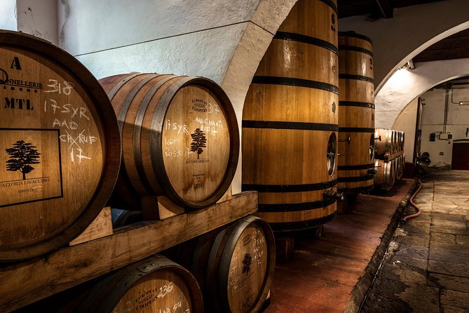 Countryside Escape on Organic Estate in Chianti Hills - Savoring Tuscan Culinary Delights