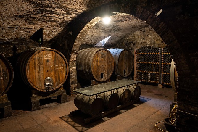 Countryside Escape on Organic Estate in Chianti Hills - Tasting Organic Wines and Oils