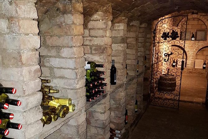 Countryside Half Day Wine Tour Near Vienna - Inclusions and Logistics
