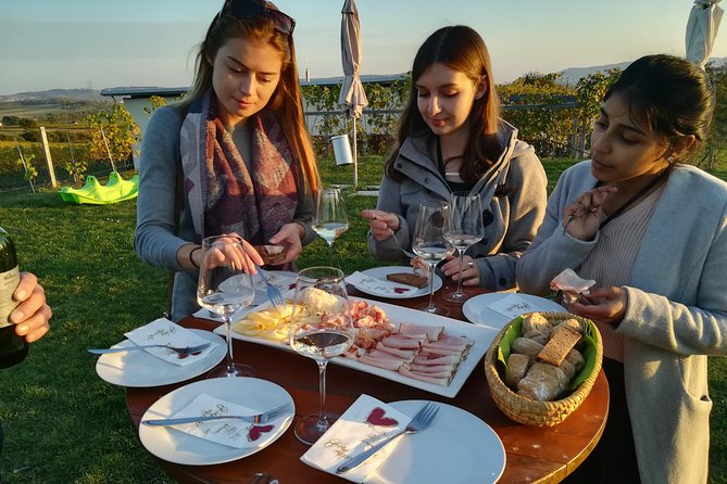 Countryside Half Day Wine Tour Near Vienna - Tasting Locally Produced Wines