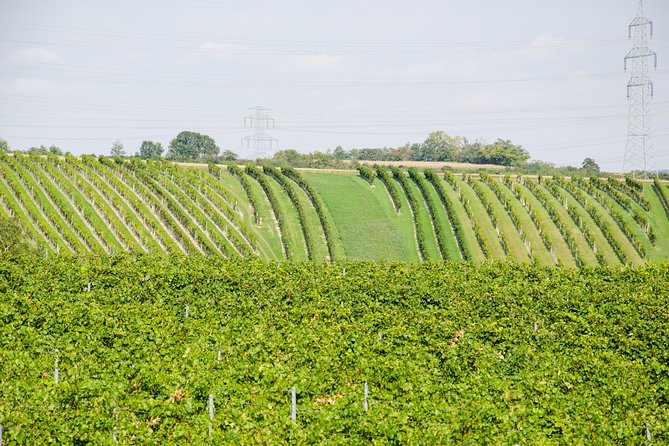 Countryside Half Day Wine Tour Near Vienna - Roundtrip Transportation From Vienna