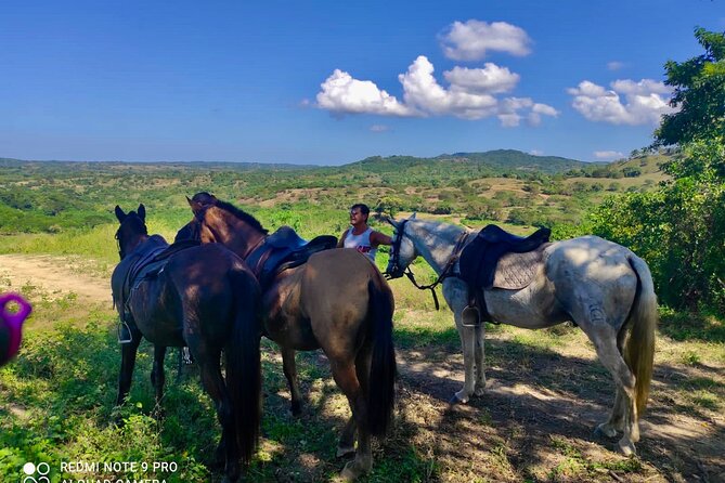 Countryside Horseback Riding Eco-Adventure Near Cartagena - Health and Accessibility Considerations