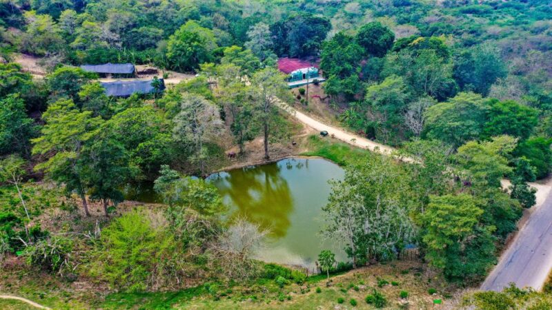 Countryside Horseback Riding Eco-Adventure Near Cartagena - Itinerary and Experience