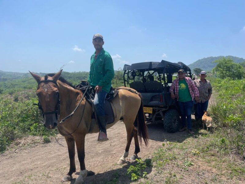 Countryside Horseback Riding Eco-Adventure Near Cartagena - Highlights and Wildlife Encounter