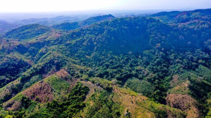 Countryside Horseback Riding Eco-Adventure Near Cartagena - Horseback Riding for All Levels