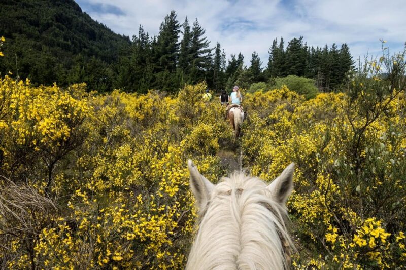 Countryside Immersion With Horseback Ride in Sainte Victoire - Highlights of the Horseback Ride in Sainte Victoire