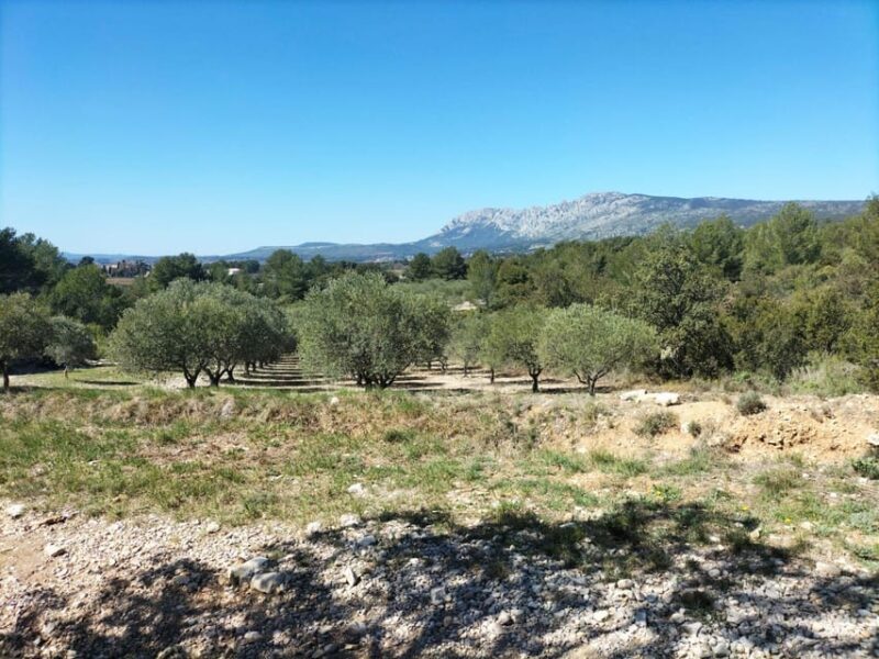 Countryside Immersion With Horseback Ride in Sainte Victoire - Scenic Walk Through Vineyards and Local Hilltop Villages