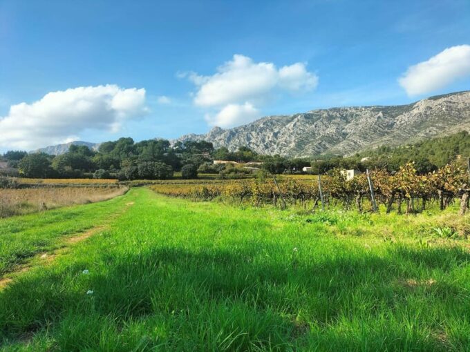 Countryside Immersion With Horseback Ride in Sainte Victoire - Additional Details and Customer Feedback