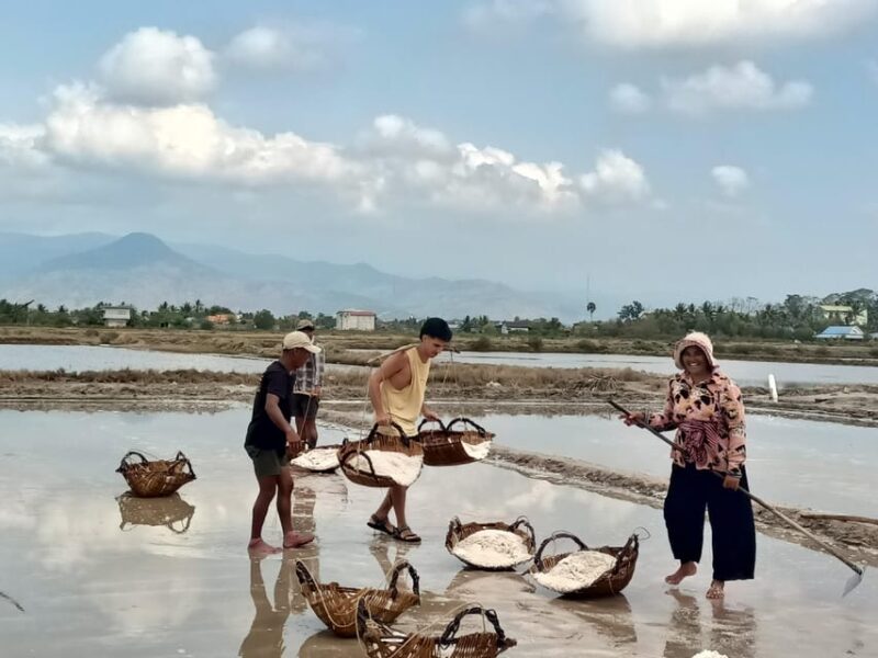 Countryside & Kayak Tour, Include Pepper Farm, Khmer Noodle - Salt Fields Exploration