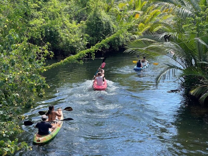 Countryside & Kayak Tour, Include Pepper Farm, Khmer Noodle - Pepper Farm Tour