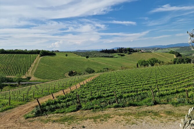Countryside Pick-Up for Chianti Private Wine Tours Limo Service - Exploring Tuscanys Countryside