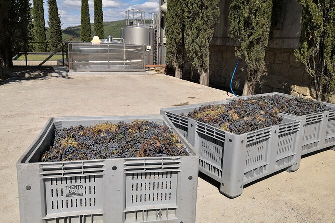Countryside Pick-Up for Chianti Private Wine Tours Limo Service - Frequently Asked Questions