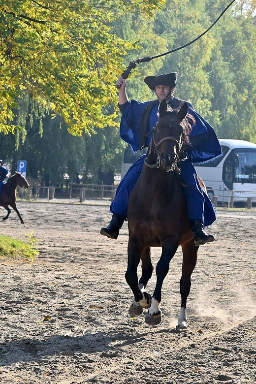 Countryside Ranch, Horse Show & Lunch - Inclusions and Special Considerations