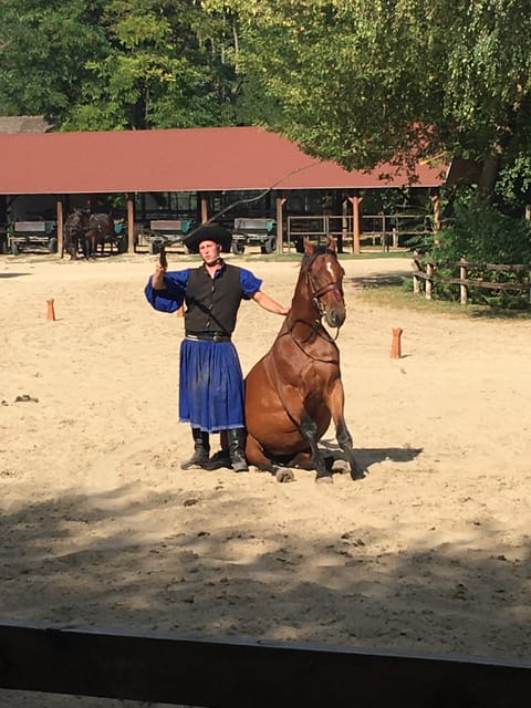 Countryside Ranch, Horse Show & Lunch - Customer Reviews and Meeting Point